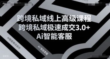 跨境私域线上高级课程，跨境私域极速成交3.0+Ai智能客服-副业研究室