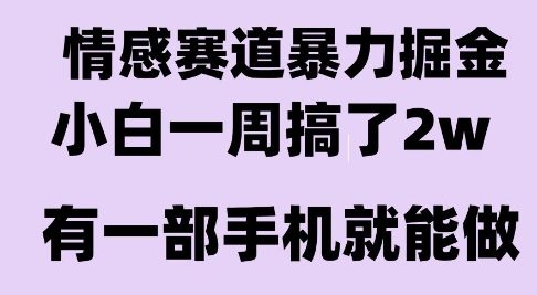情感暴力掘金项目，新人操作一周挣了2W，长期稳定小白可做【揭秘】-副业研究室