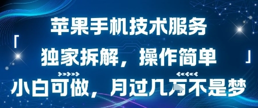 苹果手机技术服务，独家拆解，操作简单，小白可做，月过1W不是梦-副业研究室