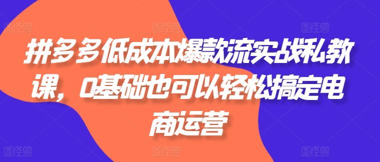拼多多低成本爆款流实战私教课，0基础也可以轻松搞定电商运营-副业研究室