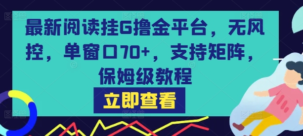 最新阅读挂G撸金平台，无风控，单窗口70+，支持矩阵，保姆级教程【揭秘】-副业研究室