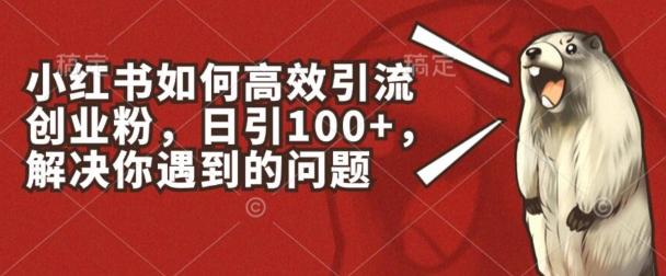 小红书如何高效引流创业粉，日引100+，解决你遇到的问题【揭秘】-副业研究室