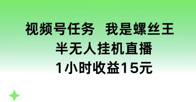 视频号任务，我是螺丝王， 半无人挂机1小时收益15元【揭秘】-副业研究室