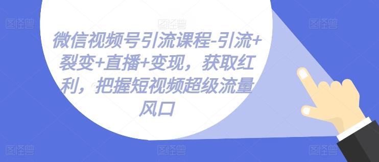 微信视频号引流课程-引流+裂变+直播+变现，获取红利，把握短视频超级流量风口-副业研究室
