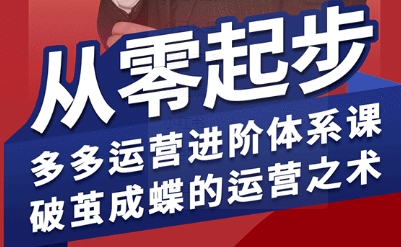 拼多多运营进阶系统课，从零起步，多多运营进阶体系课，破茧成蝶的运营之术-副业研究室