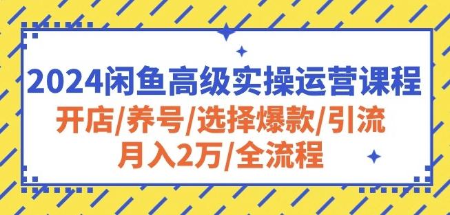 2024闲鱼高级实操运营课程：开店/养号/选择爆款/引流/月入2万/全流程-副业研究室